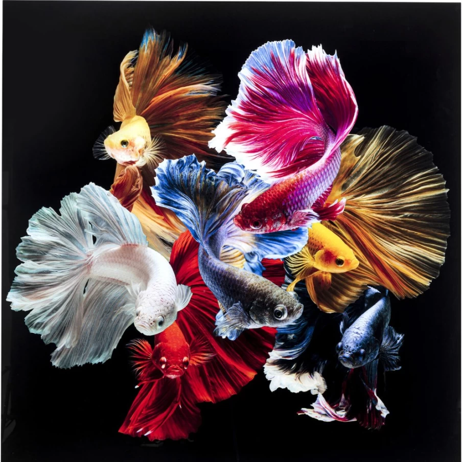 KARE Design Modern Glass Art Picture - Colorful Swarm Fish Wall Decor 120x120cm