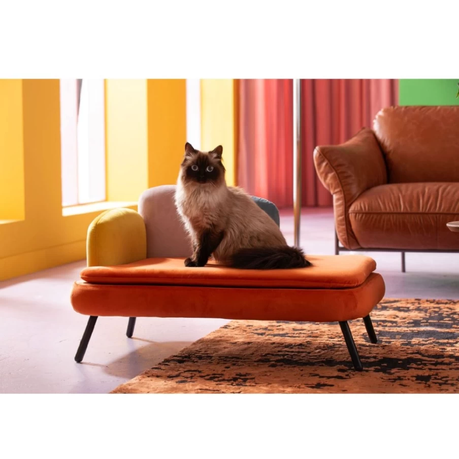 KARE Design Modern Diva Orange Pet Bed for Dogs and Cats - Luxury Comfortable Sleeping Cushion