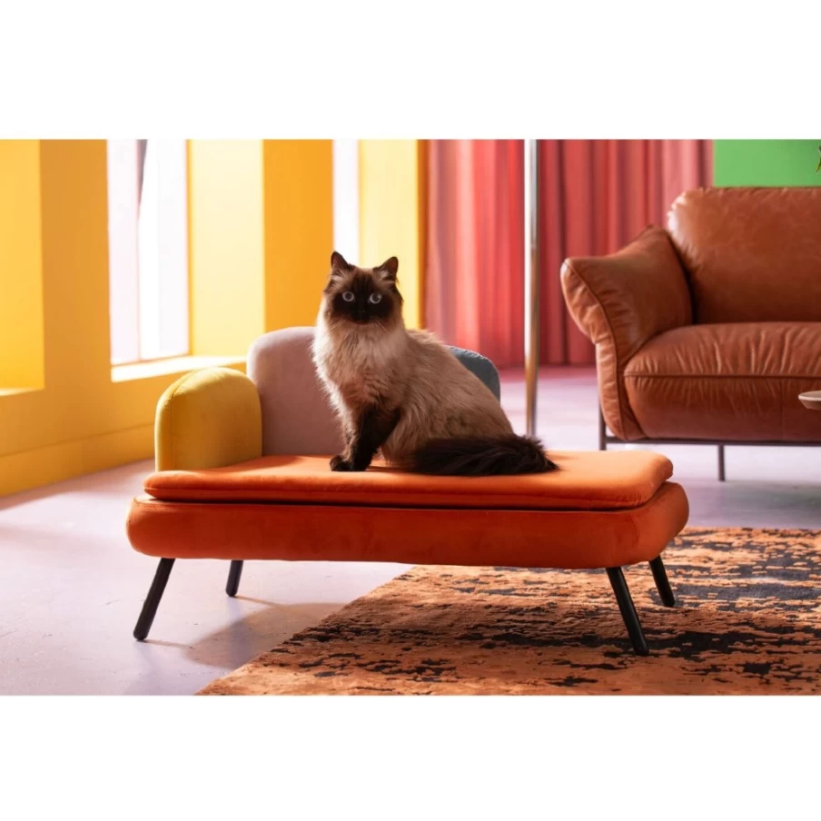 KARE Design Modern Pet Bed for Dogs and Cats - Stylish Diva Orange Luxury Dog/Cat Bed