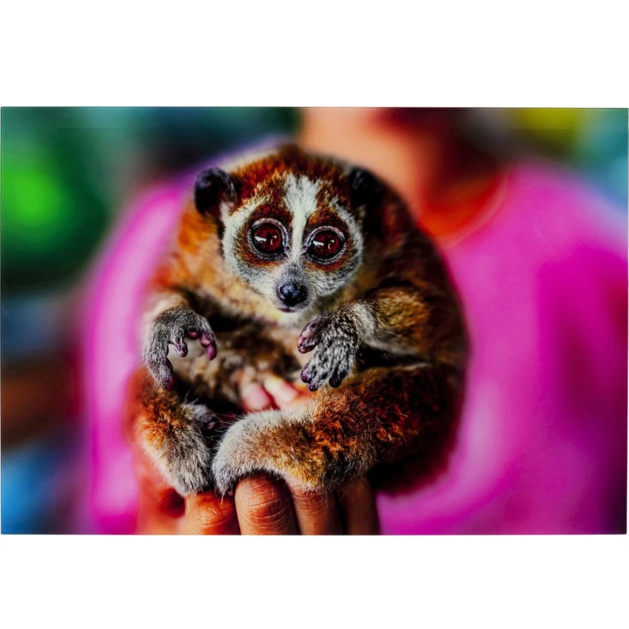 "KARE Design Framed Picture Glass Art - Slow Loris Wildlife Illustration 80x120 cm"
