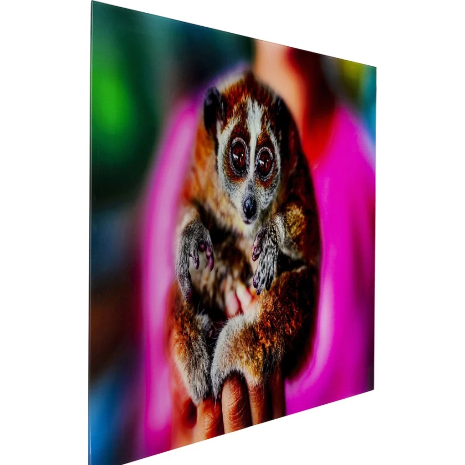 "KARE Design Framed Picture Glass Art - Slow Loris Wildlife Illustration 80x120 cm"