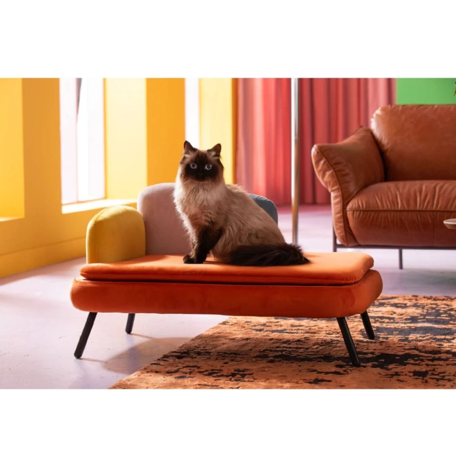 KARE Design Modern Pet Bed for Dogs and Cats - Stylish Diva Orange Luxury Dog/Cat Bed