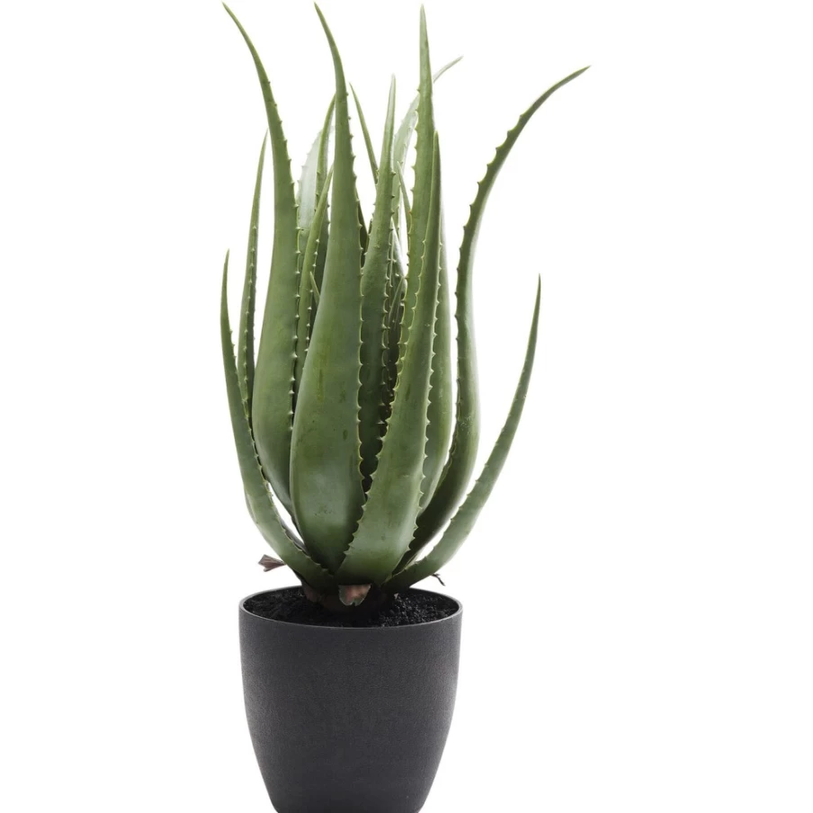 KARE Design Modern Aloe Vera Artificial Plant for Home Decor - 69cm Tall Fake Succulent in Pot for Indoor Greenery