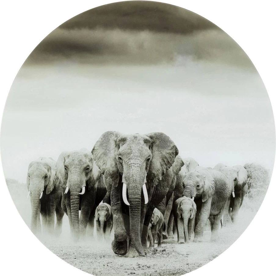 "KARE Design Modern Glass Elephant Wall Art – 120cm Elegant Walking Elephant Picture for Home Decor"