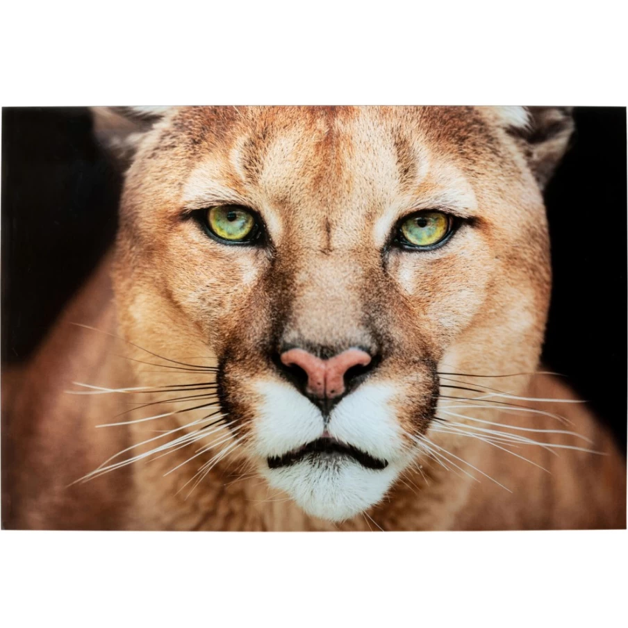 KARE Design Modern Lioness Art Glass Picture - 150x100cm Wall Decor Premium Glass Print
