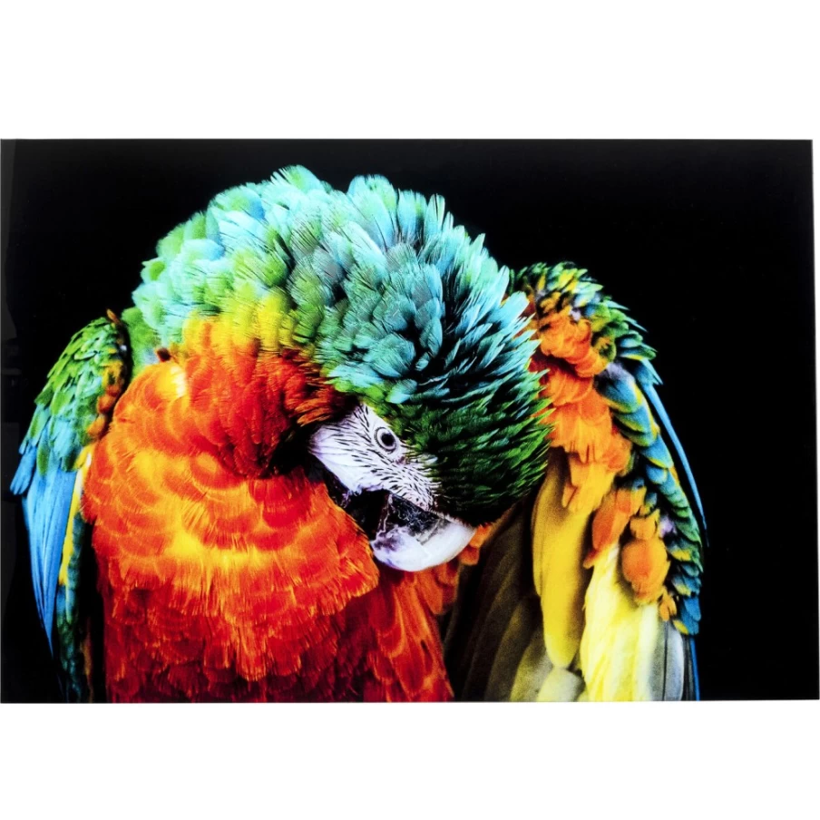"KARE Design Modern Glass Wall Art - Tropical Parrot Painting 120x80 cm Vibrant Home Decor"