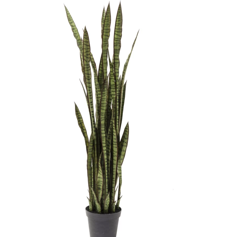 KARE Design Modern Sansevieria Snake Plant 155cm Tall Indoor Deco Plant for Home Office Decor