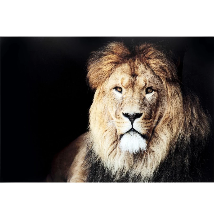"KARE Design Lion King Framed Glass Wall Art - 150x100cm Premium Picture for Home Decor"